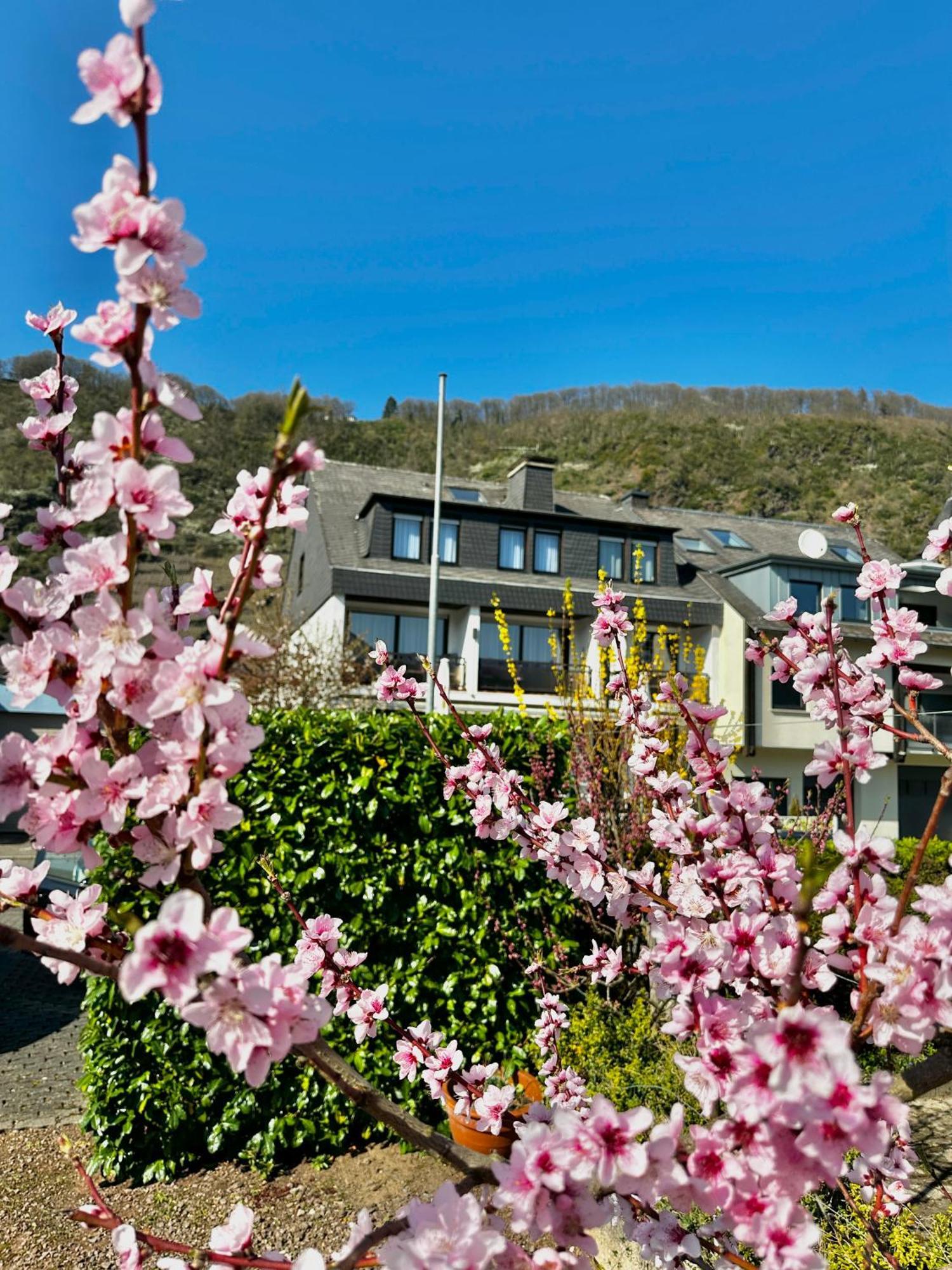 Haus Benico -Pension- Эрнст Экстерьер фото
